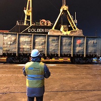 Услуги по перевалке строительных грузов в портах